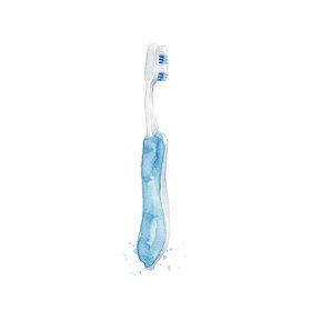 brush