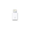 Micro plug to Lightning Adapter