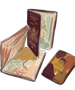 Passport Cover pack Clear Travel Gear x 2 Pcs