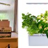 Mr Fothergill's All-In-One HydroGarden Grow Kit